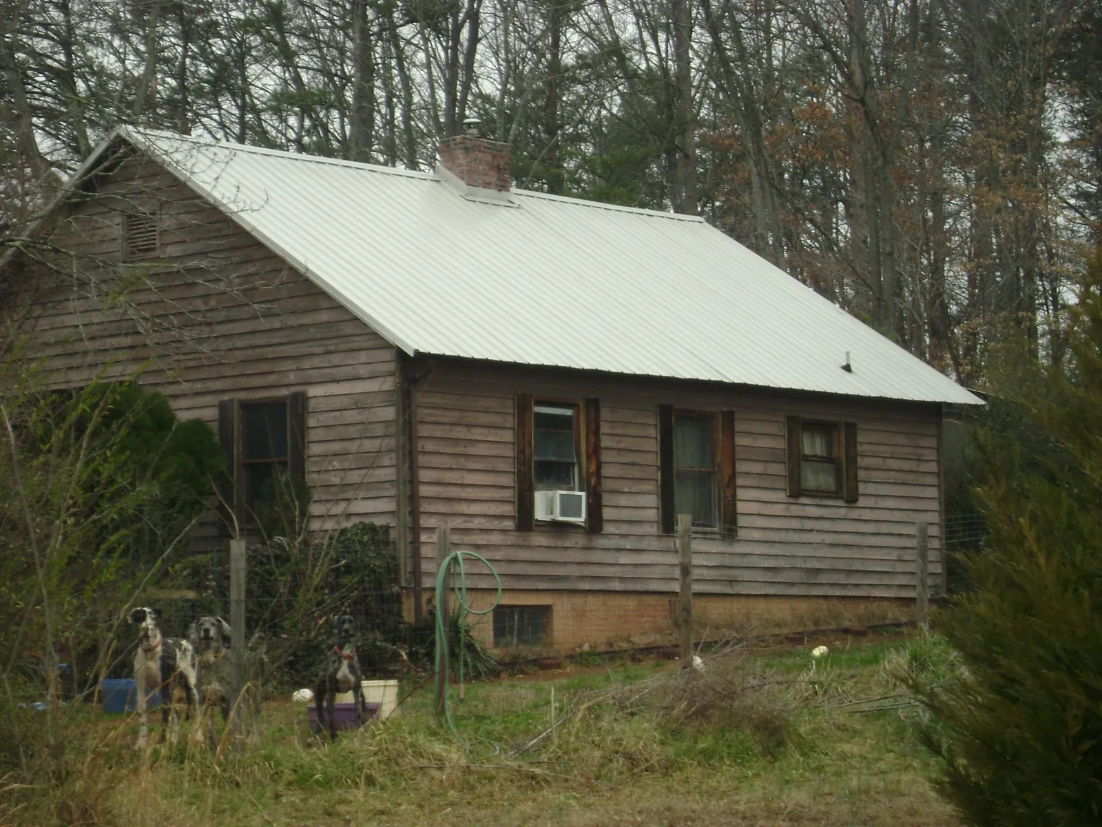 White metal roof on an old wood sided farmhouse, from a Asphalt Shingle Roof Repair job in Trent